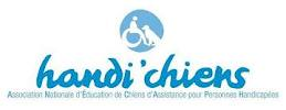 Handi'chiens