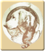Retriever club de France